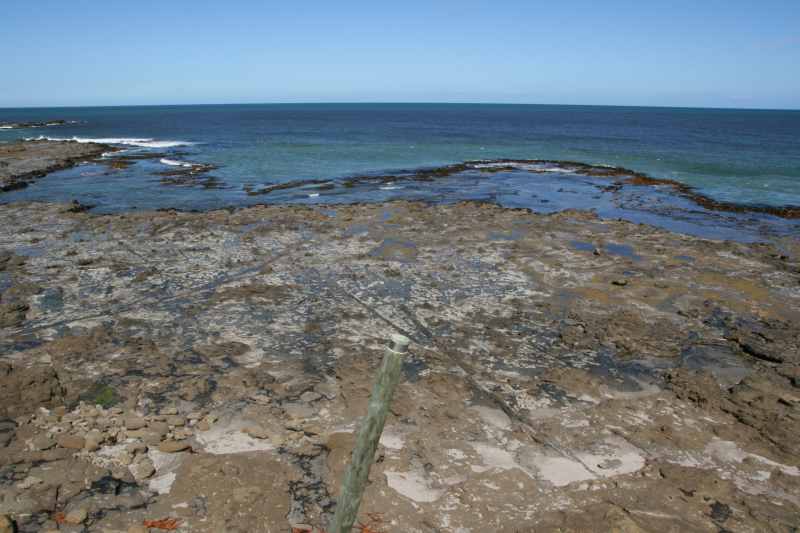 Nieuw-Zeeland 2011 - 1811